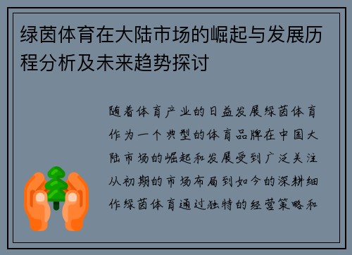 绿茵体育在大陆市场的崛起与发展历程分析及未来趋势探讨